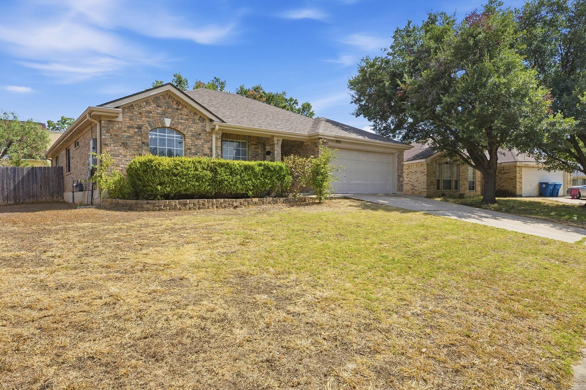 3005 Sugar Berry CV