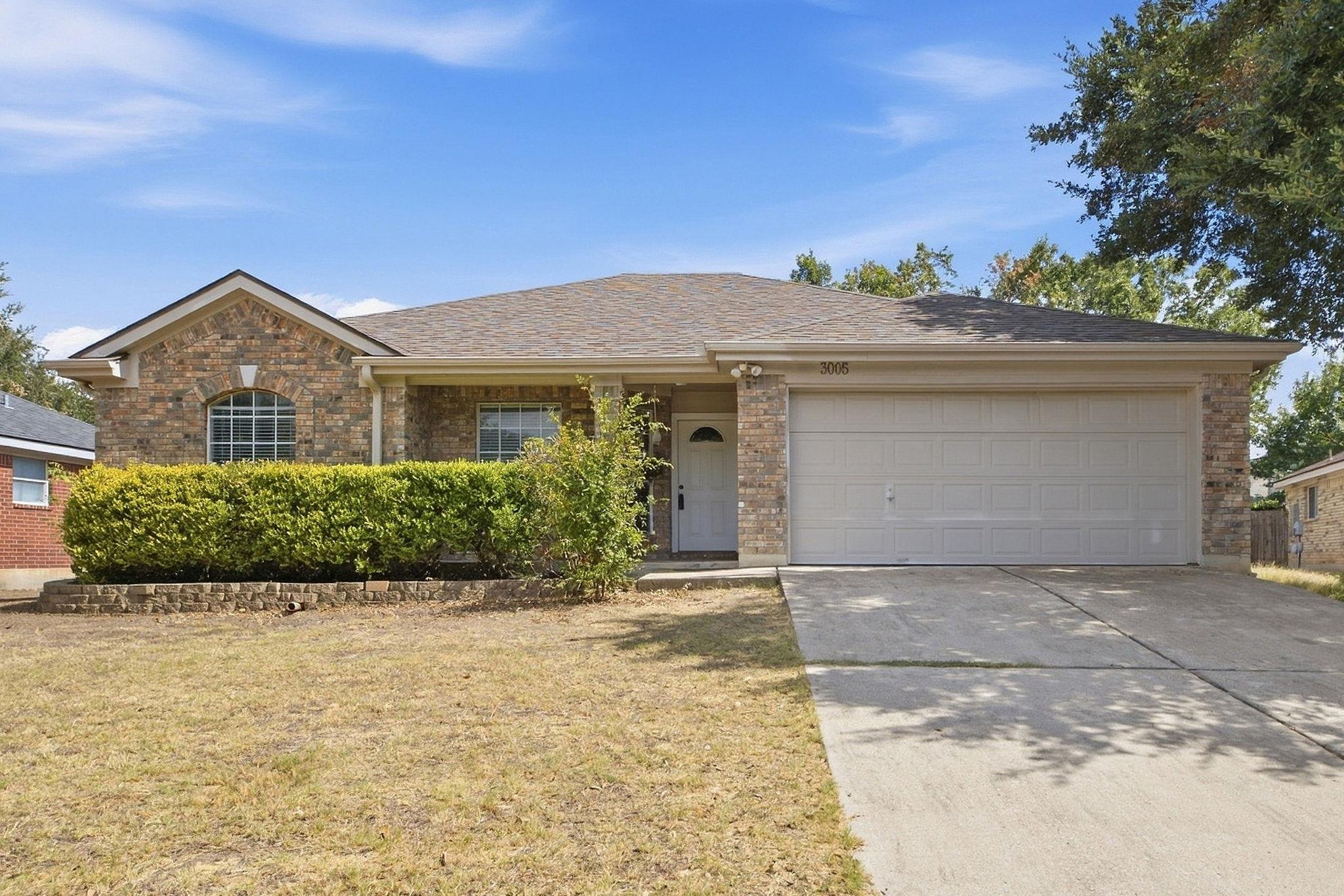 3005 Sugar Berry CV