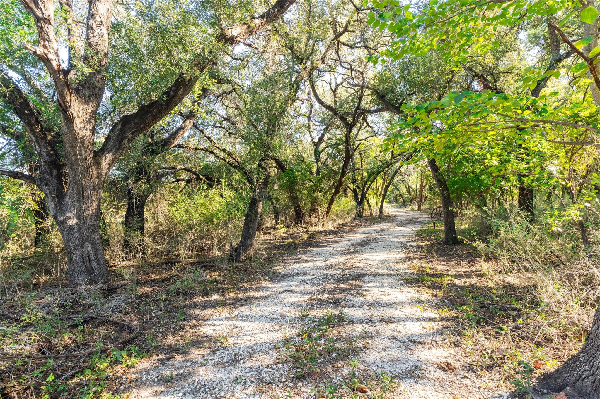 1231 Pitchfork Ranch RD