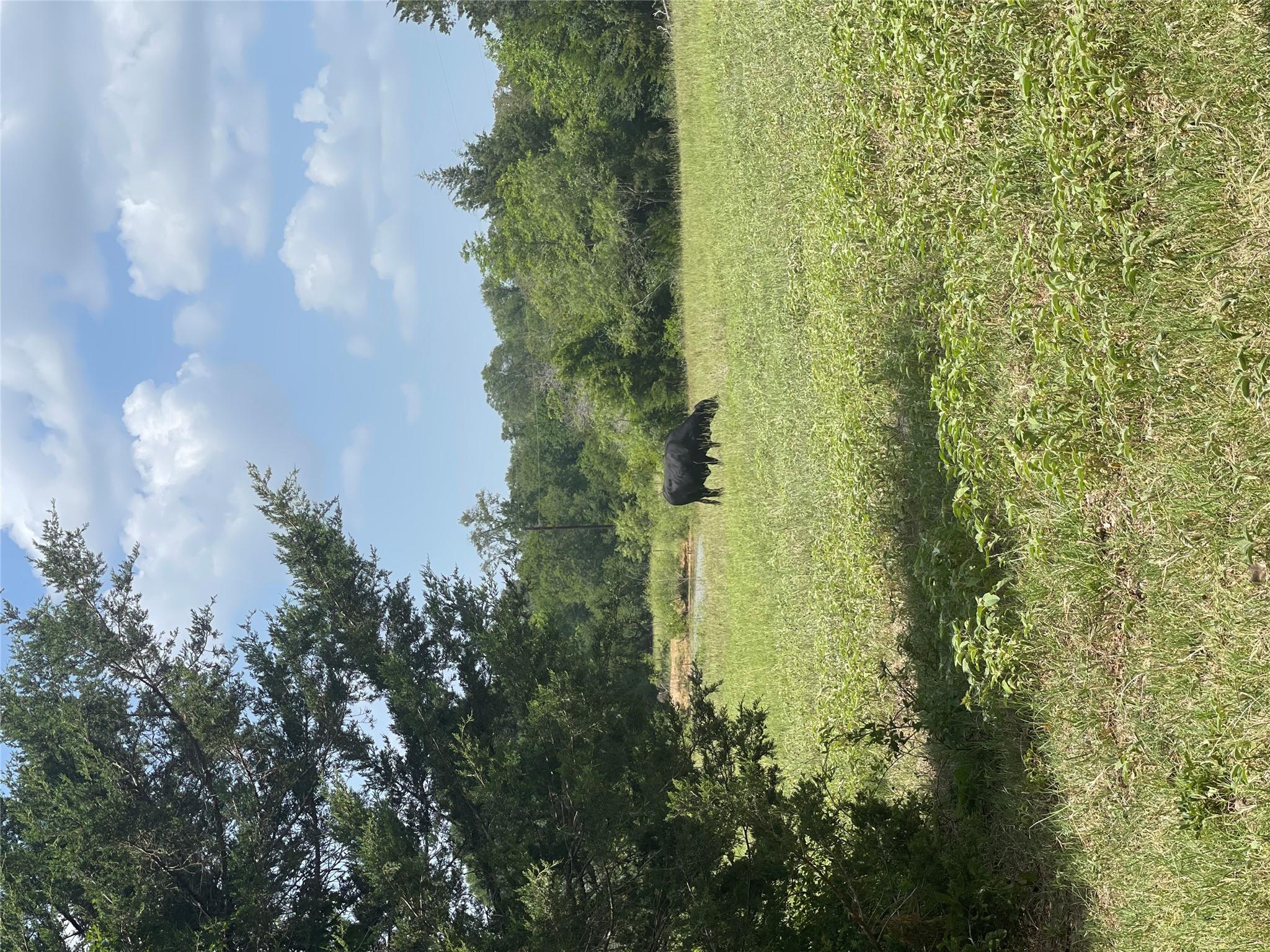 4514 County Road 328