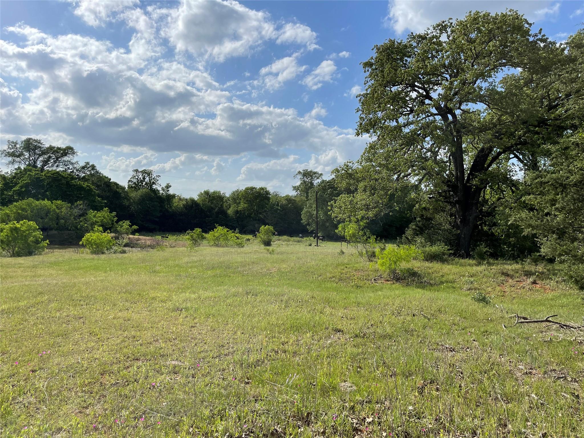 4514 County Road 328