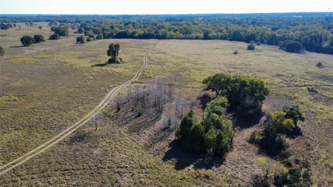 Photo of 196 Brinkley LN, Elgin, TX 78621 (MLS # 2832201)
