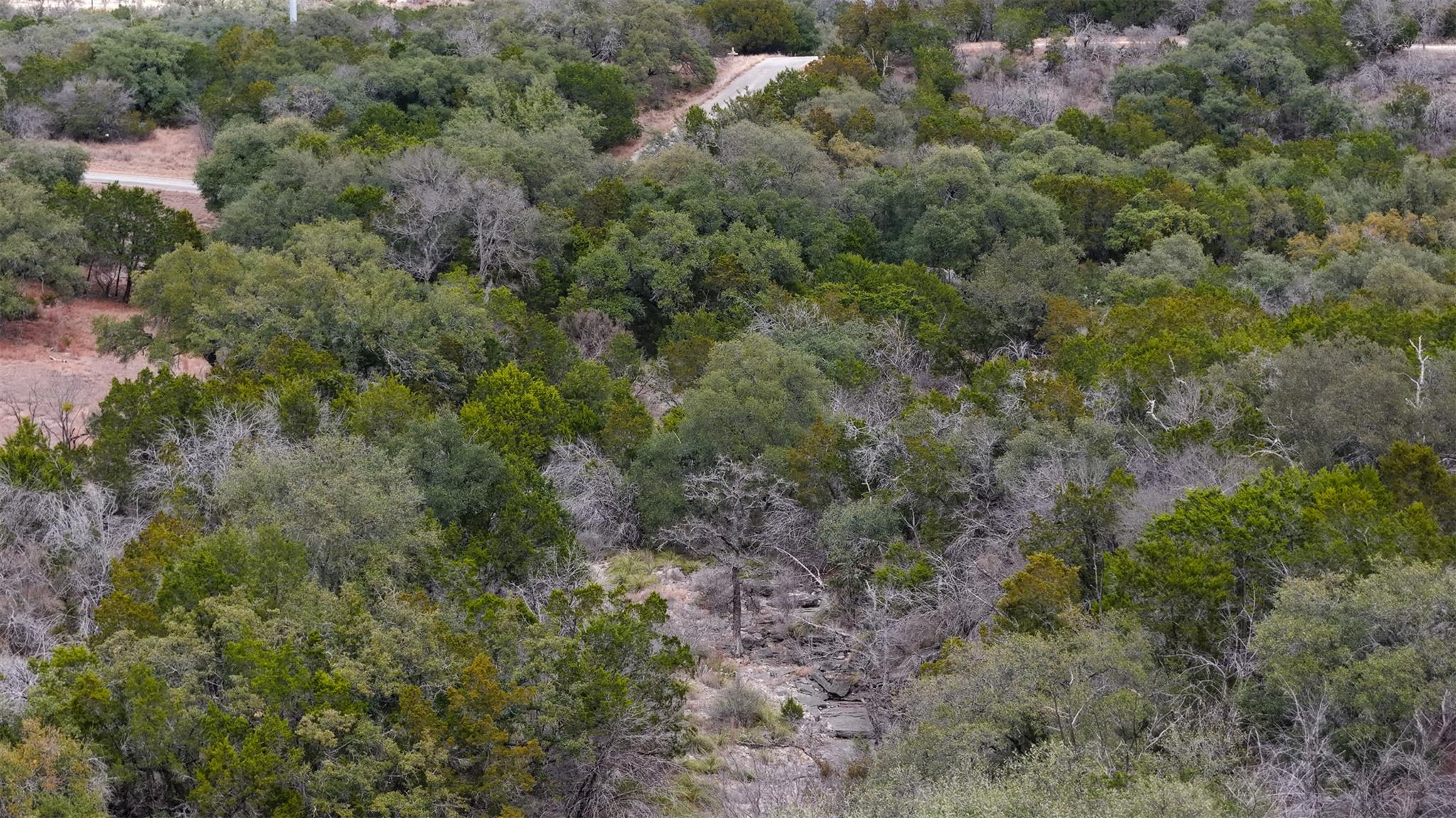 TBD Mountain Dew RD