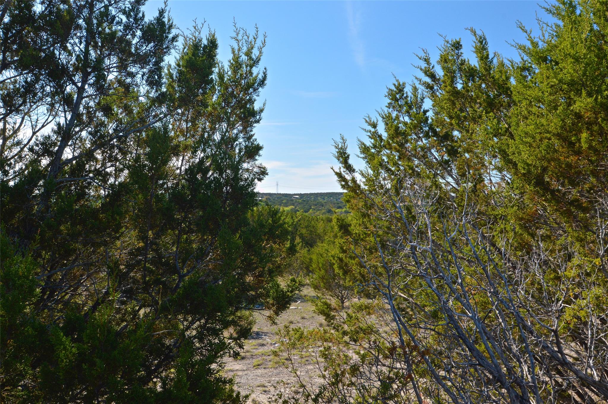 0 FM 581 Highway
