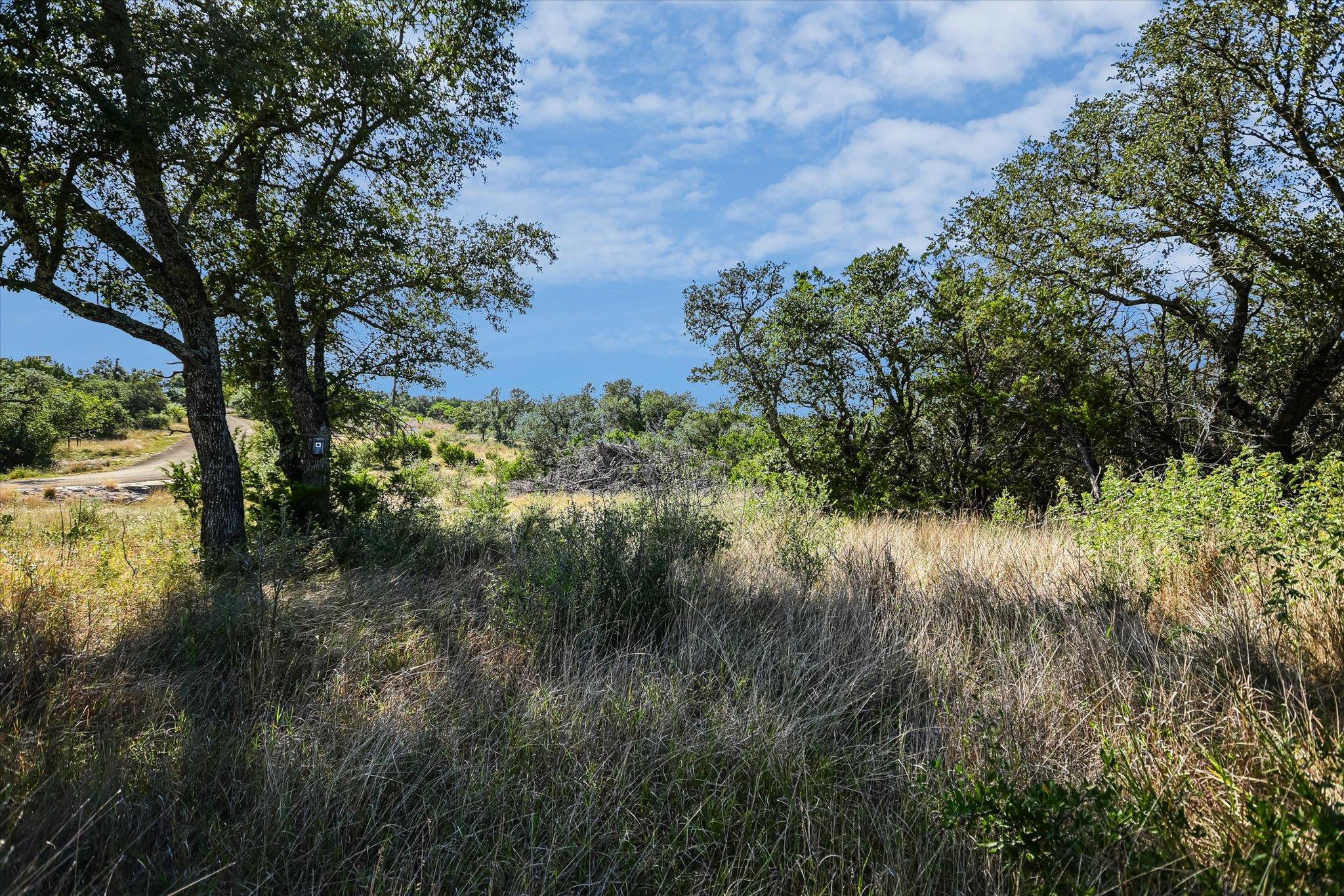 Burnet, Texas 78611, United States, ,Land,Active,248183