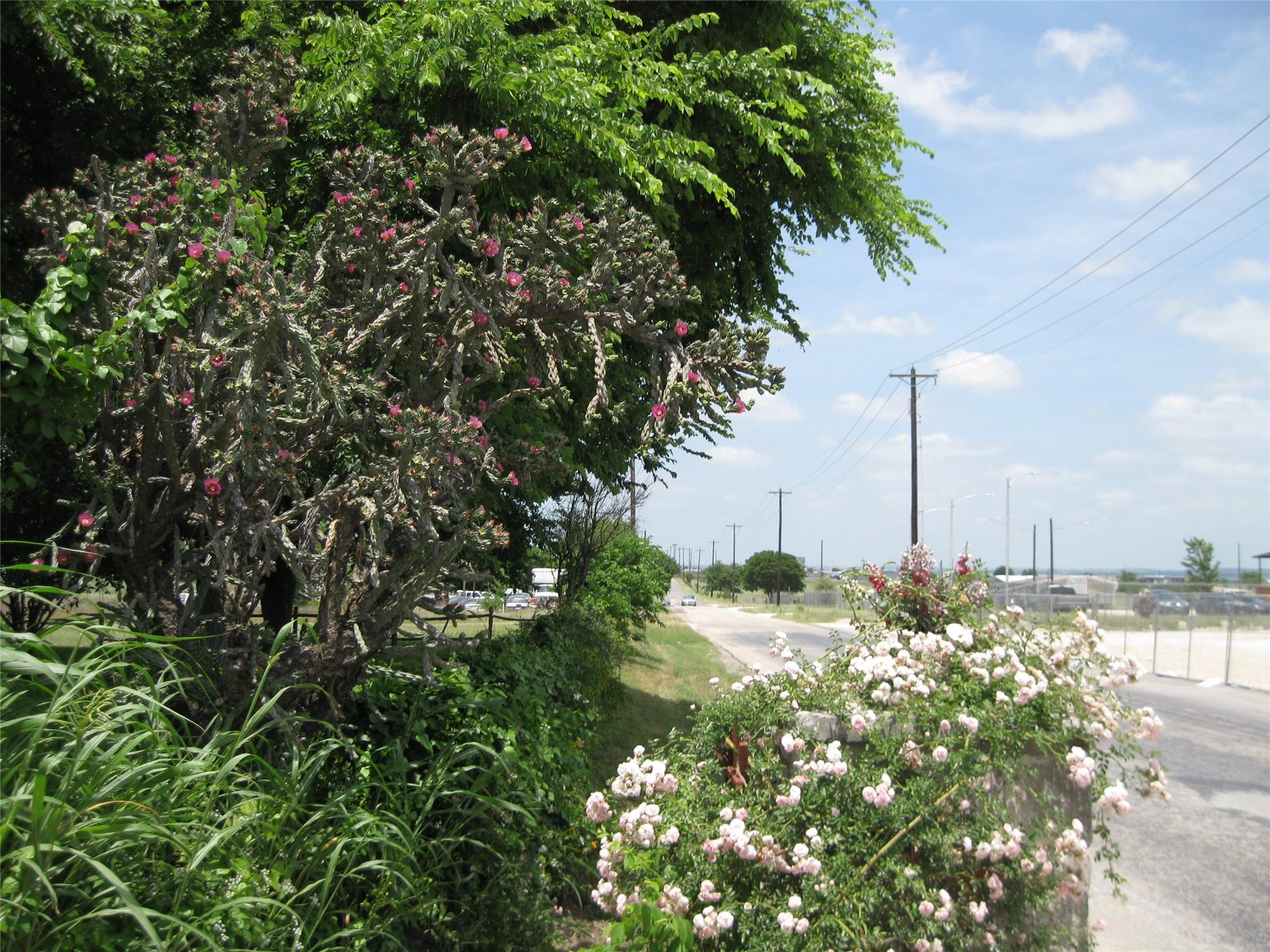 00 County Road 133