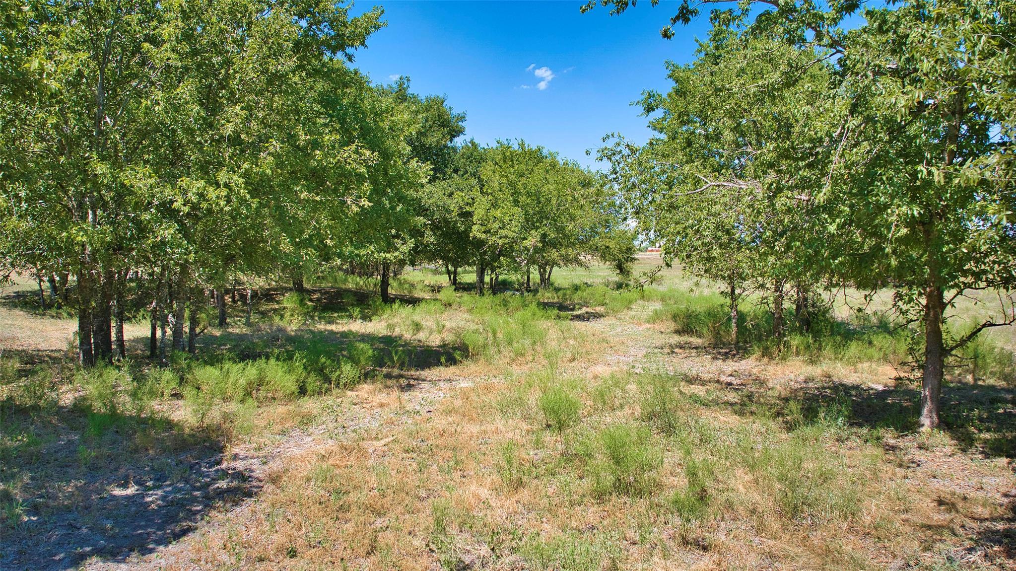 1250 County Road 311 RD