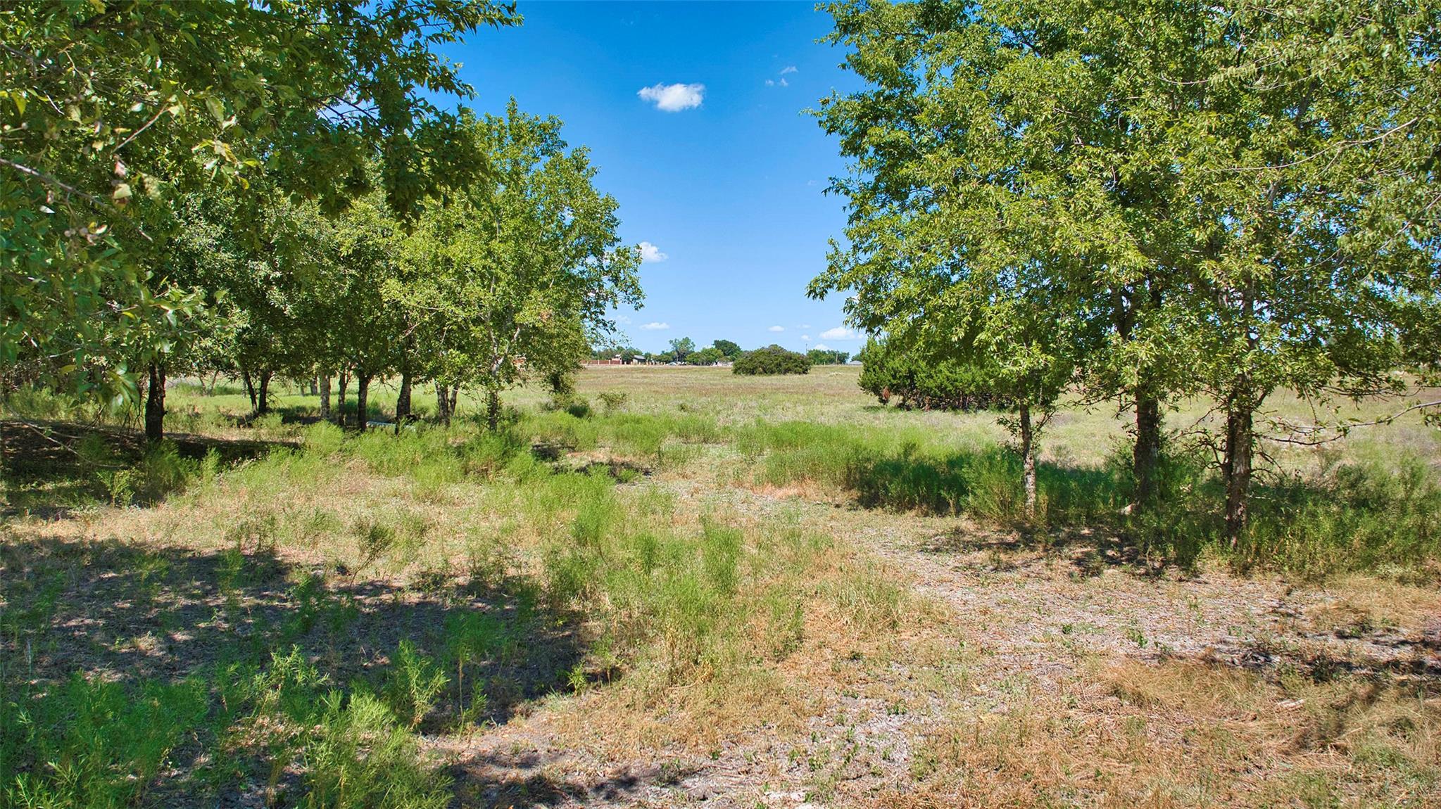 1250 County Road 311 RD