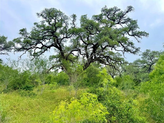 TBD TRACT Q FM 108, SMILEY, TX 78159 - Image eb85ea558200f1df1bea26f97612a29b/839444000
