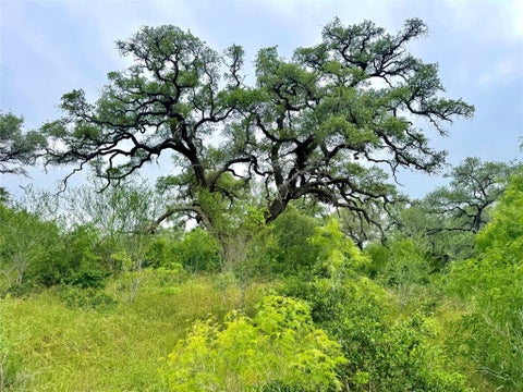 Photo of TBD Tract Q FM 108, Smiley, TX 78159 (MLS # 1048796)