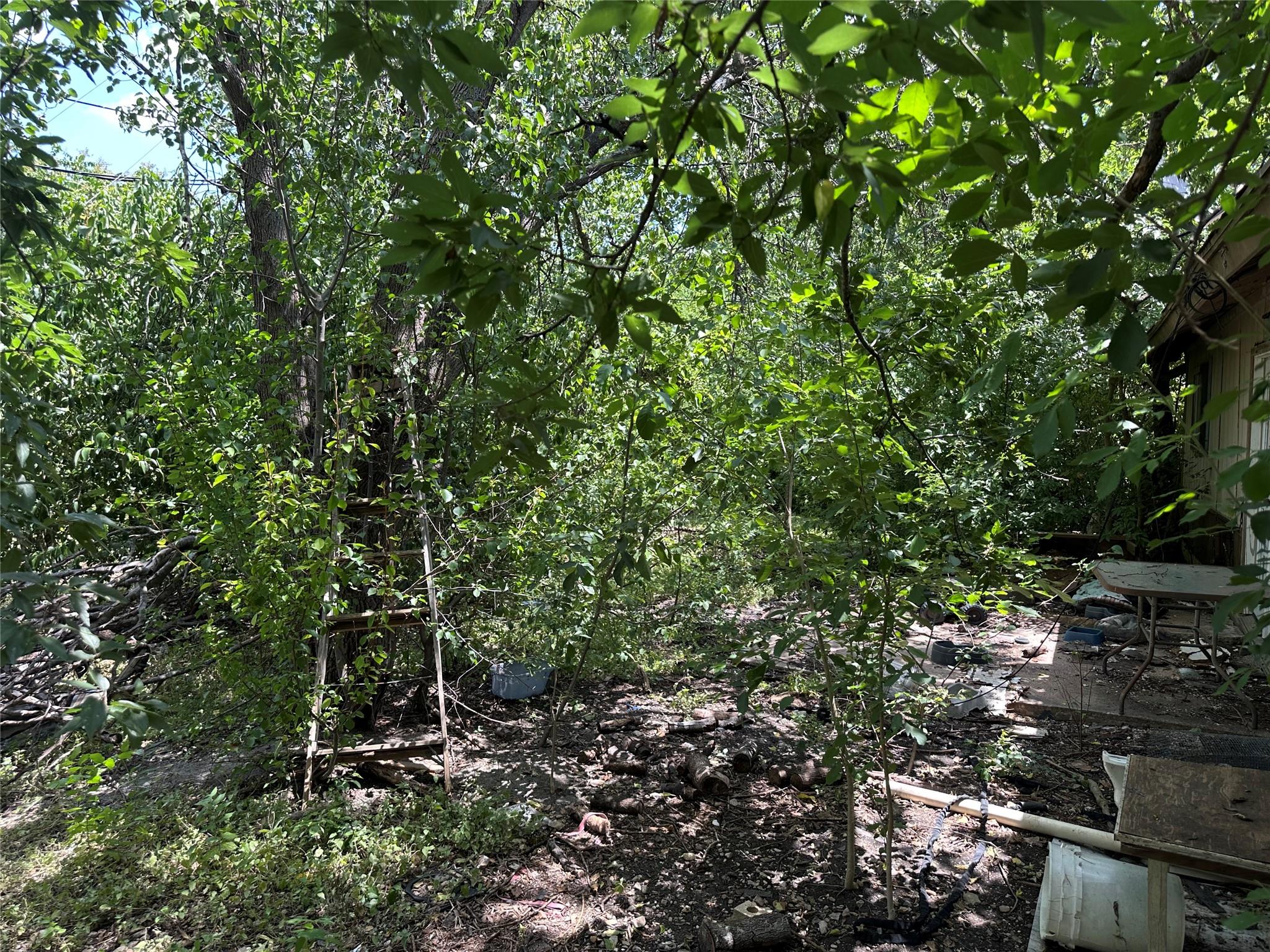 506 Forest CT
