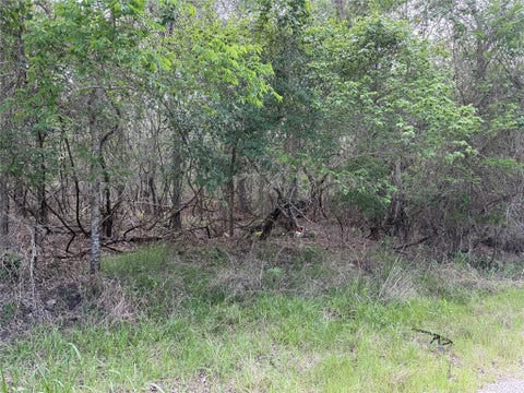 Photo of 305 Nene LN, Bastrop, TX 78602 (MLS # 8187570)