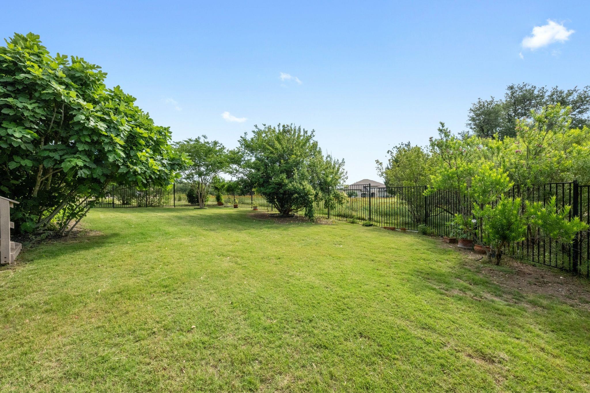 114 Hazelnut CT