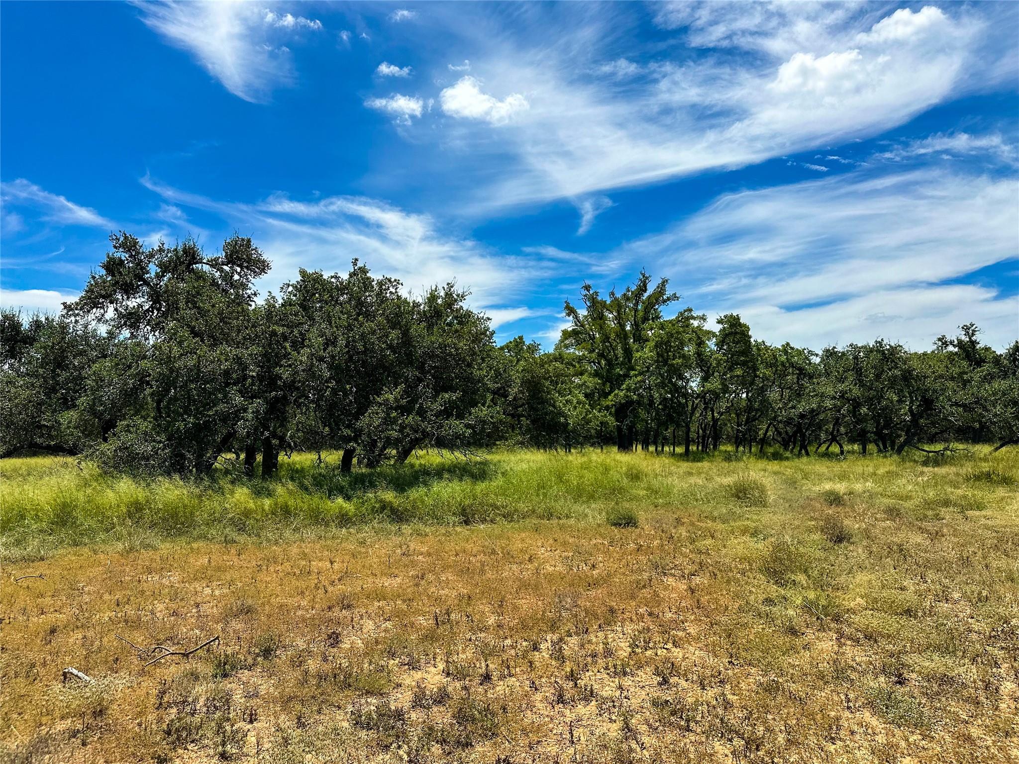 3942 Mount Sharp Road