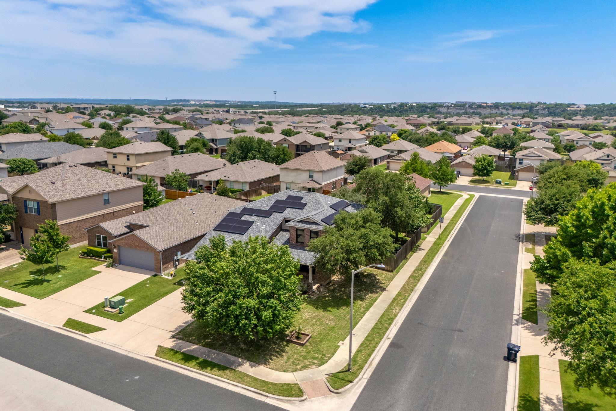 141 Snowy Egret LN