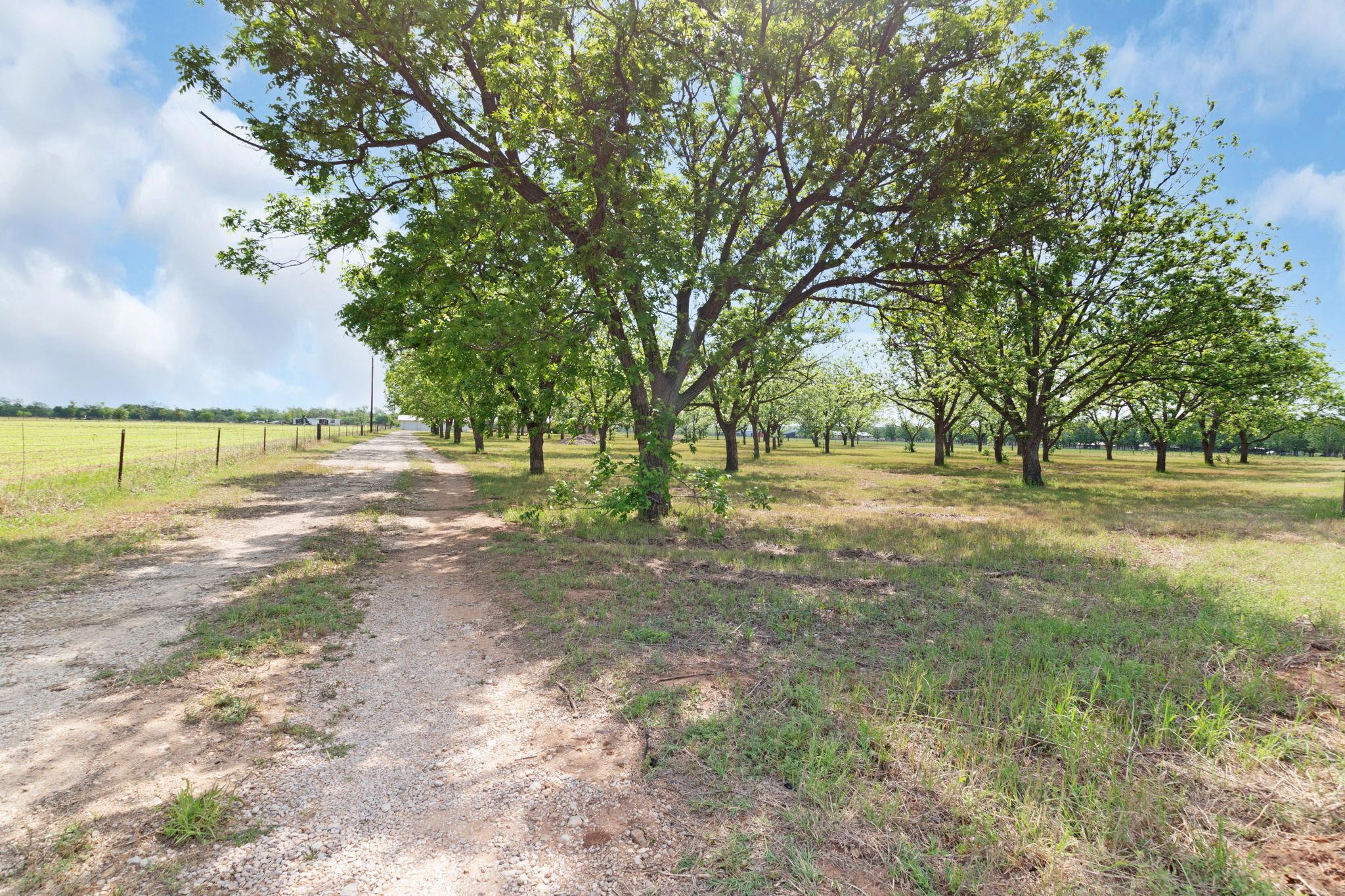 23049 W Fm 580