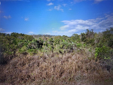 Photo of 446 Riverside DR, Bastrop, TX 78602 (MLS # 3544525)