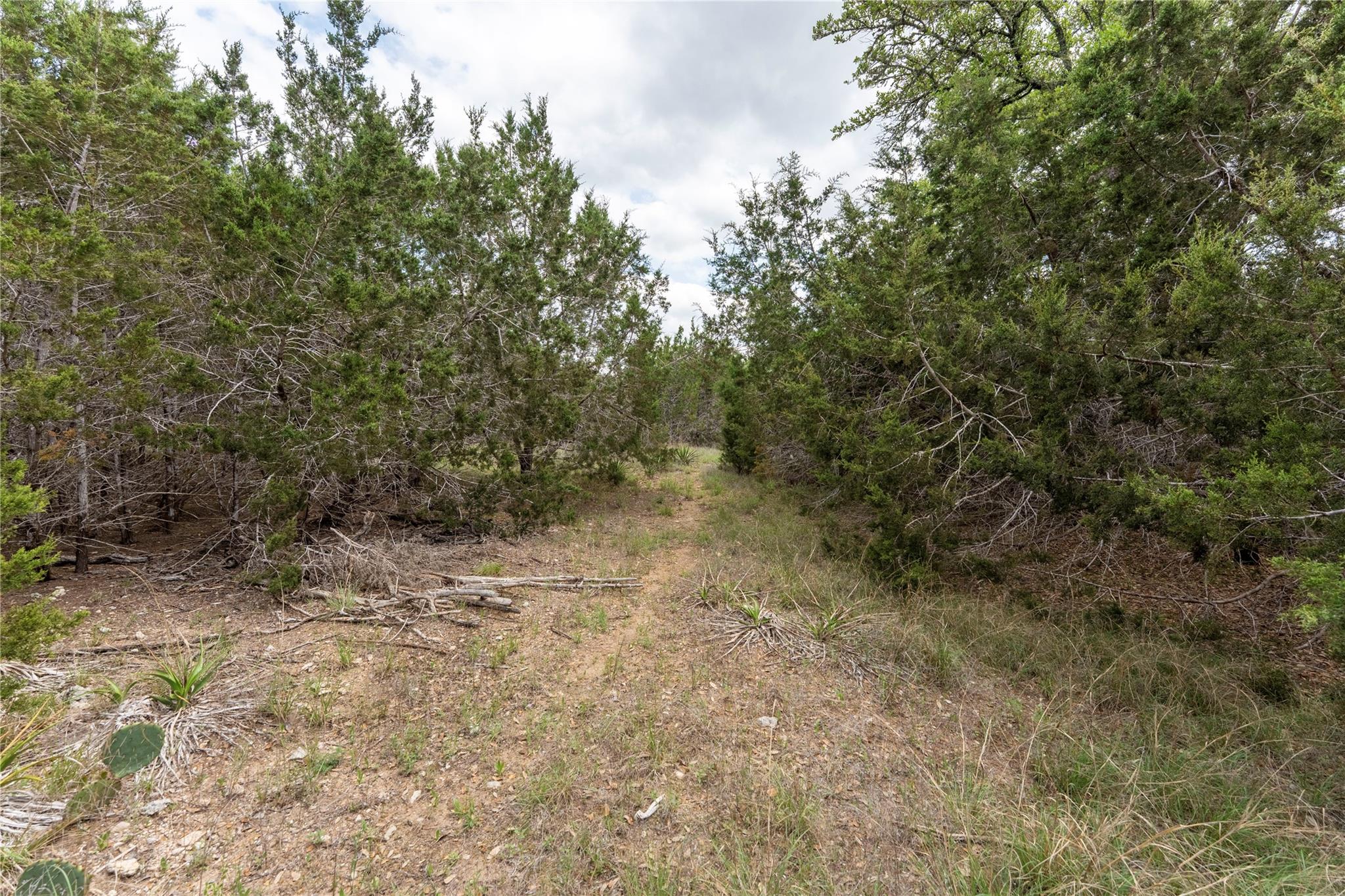 13921 Nutty Brown RD