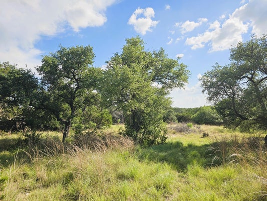 100 REAVIS DR, KEMPNER, TX 76539 - Image ee70989e7c8f5d97ed492cf55efe5c19/3430742462