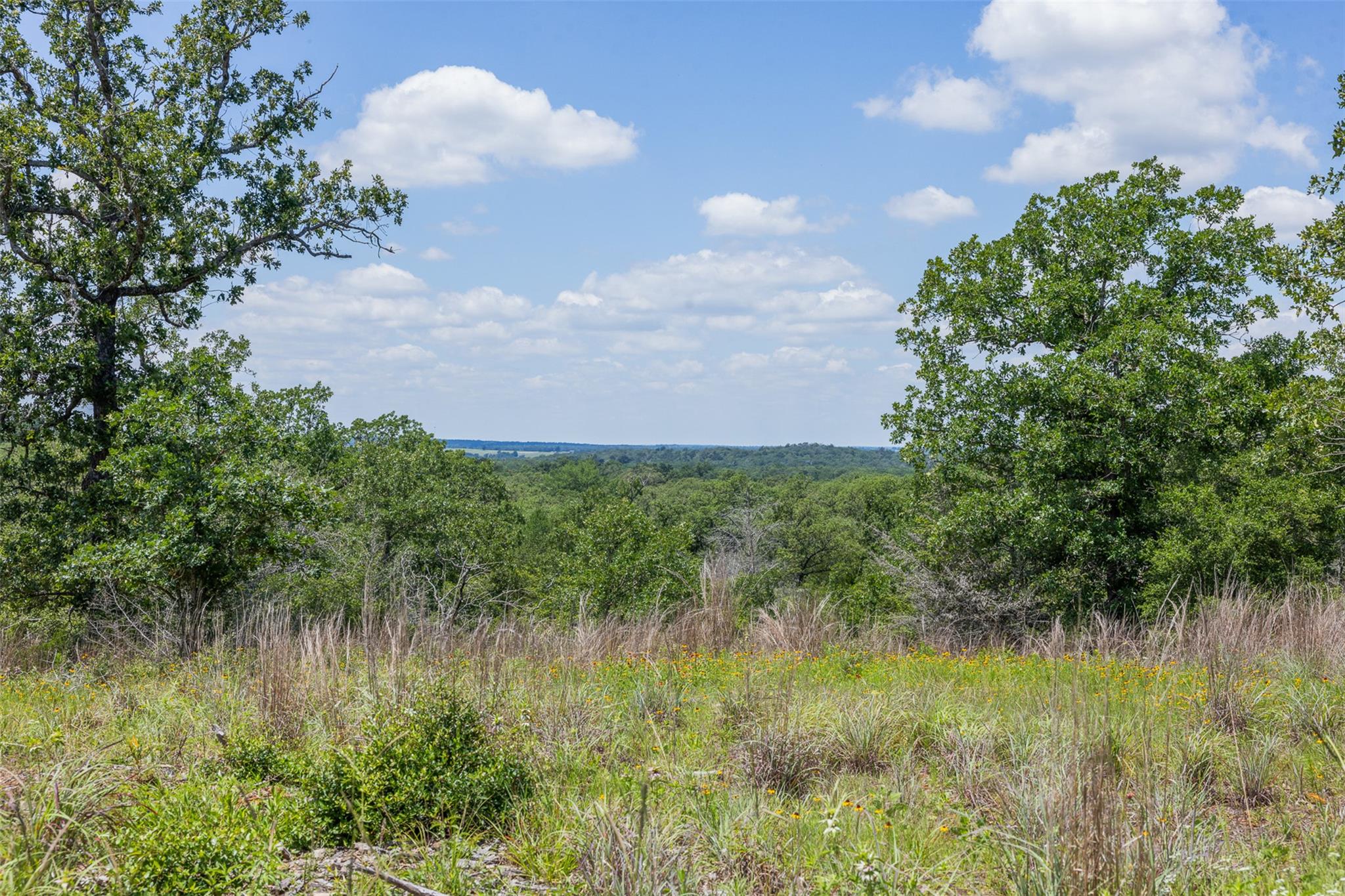 1004 22 Hills RD