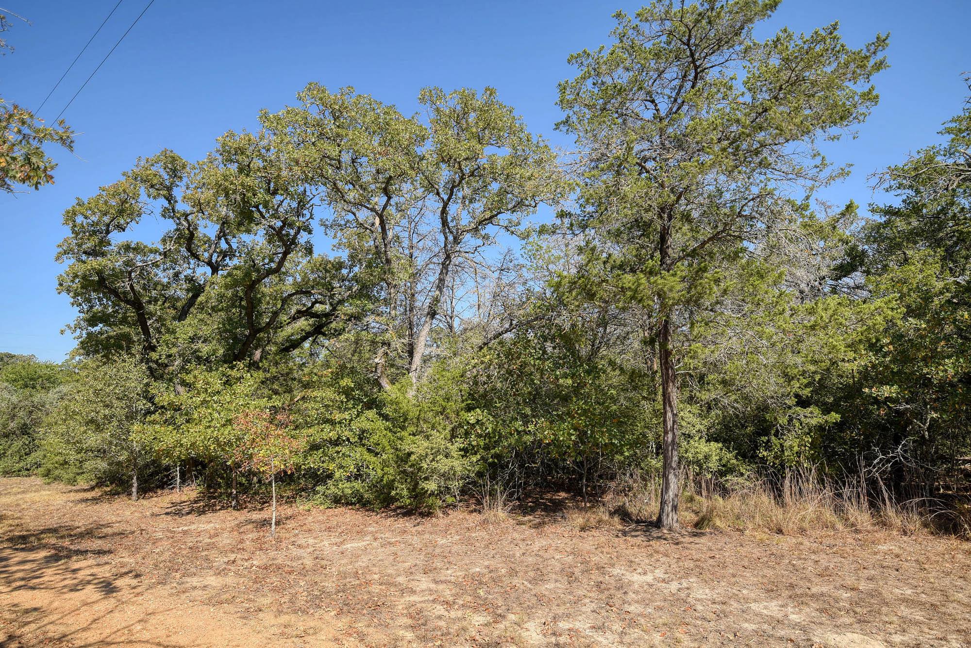 Photo 1 of 35 — 181 Lockwood RD, Red Rock, TX 78662