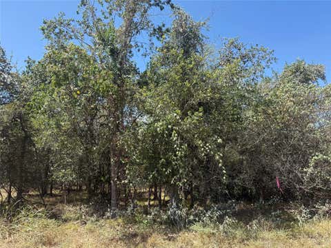 Photo of TBD Kawainui LN, Bastrop, TX 78602 (MLS # 7187798)