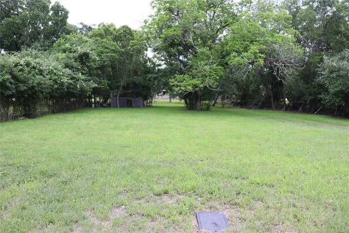 Expansive grassy clearing surrounded by mature trees
