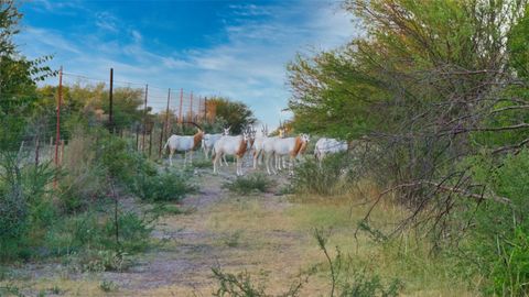 Photo of 000 Ranch to Market 3008 RNCH, Brackettville, TX 78832 (MLS # 8821206)