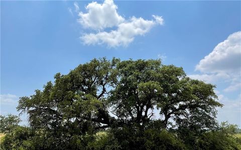 0 377 S. Highway Brownwood TX 76827