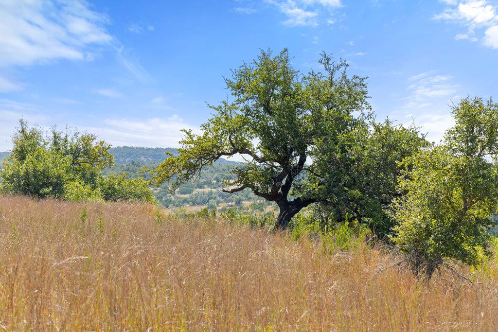 Tract 2 of 5818 Ranch Road 165