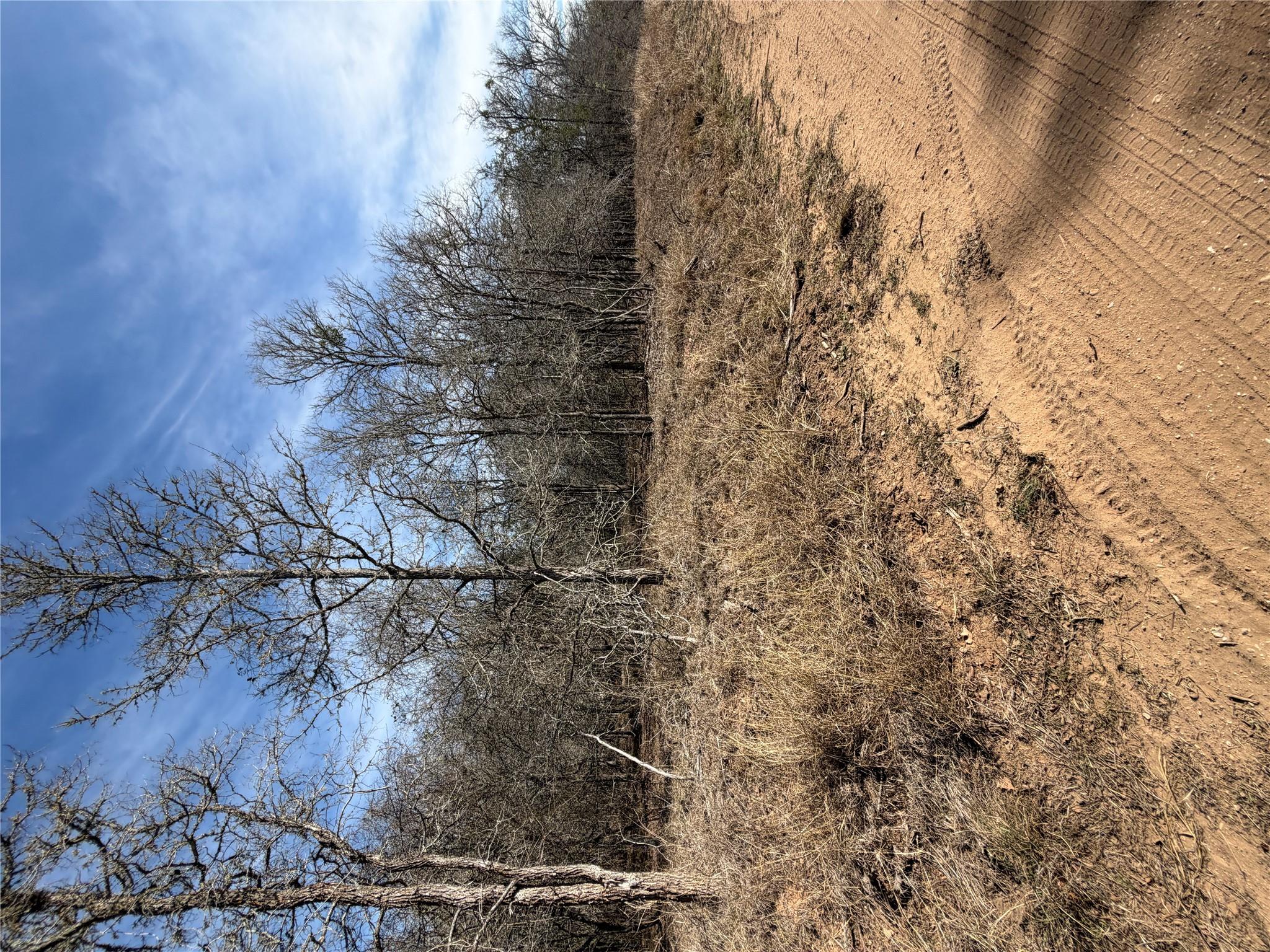 Lots 1006 and 1007 Diamond Head DR