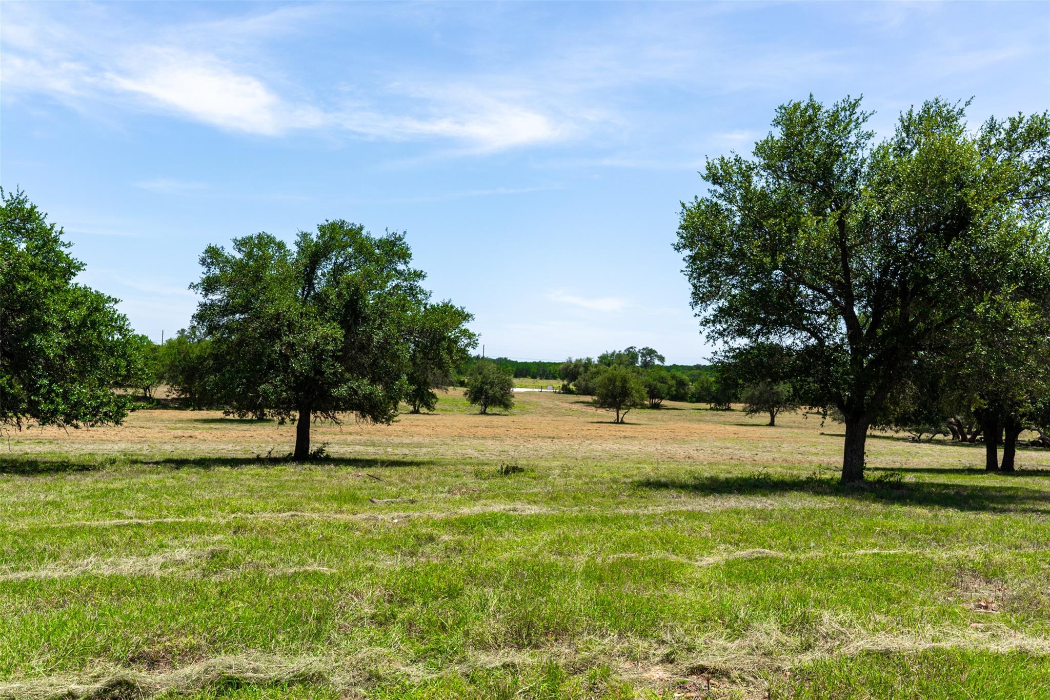 3842 FM 150 RD
