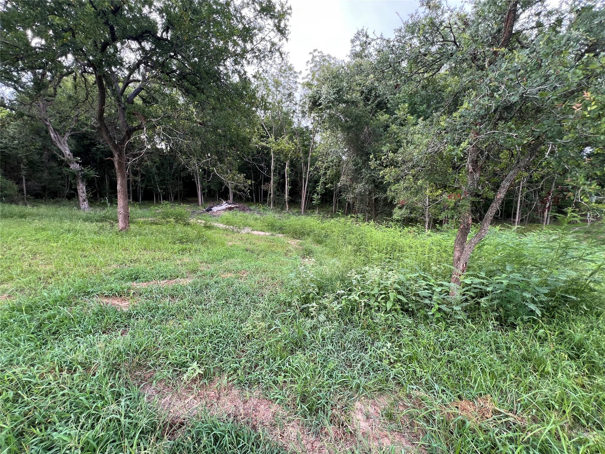 TBD FM 3000 Tract 1