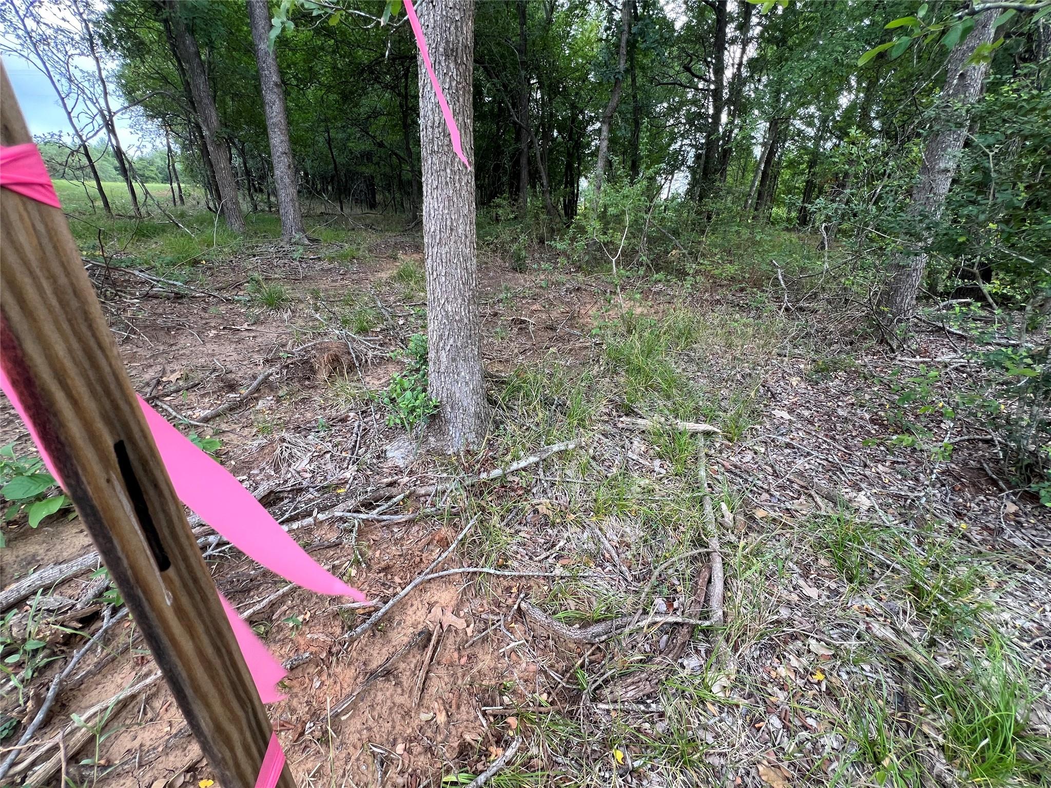 TBD FM 3000 Tract 1