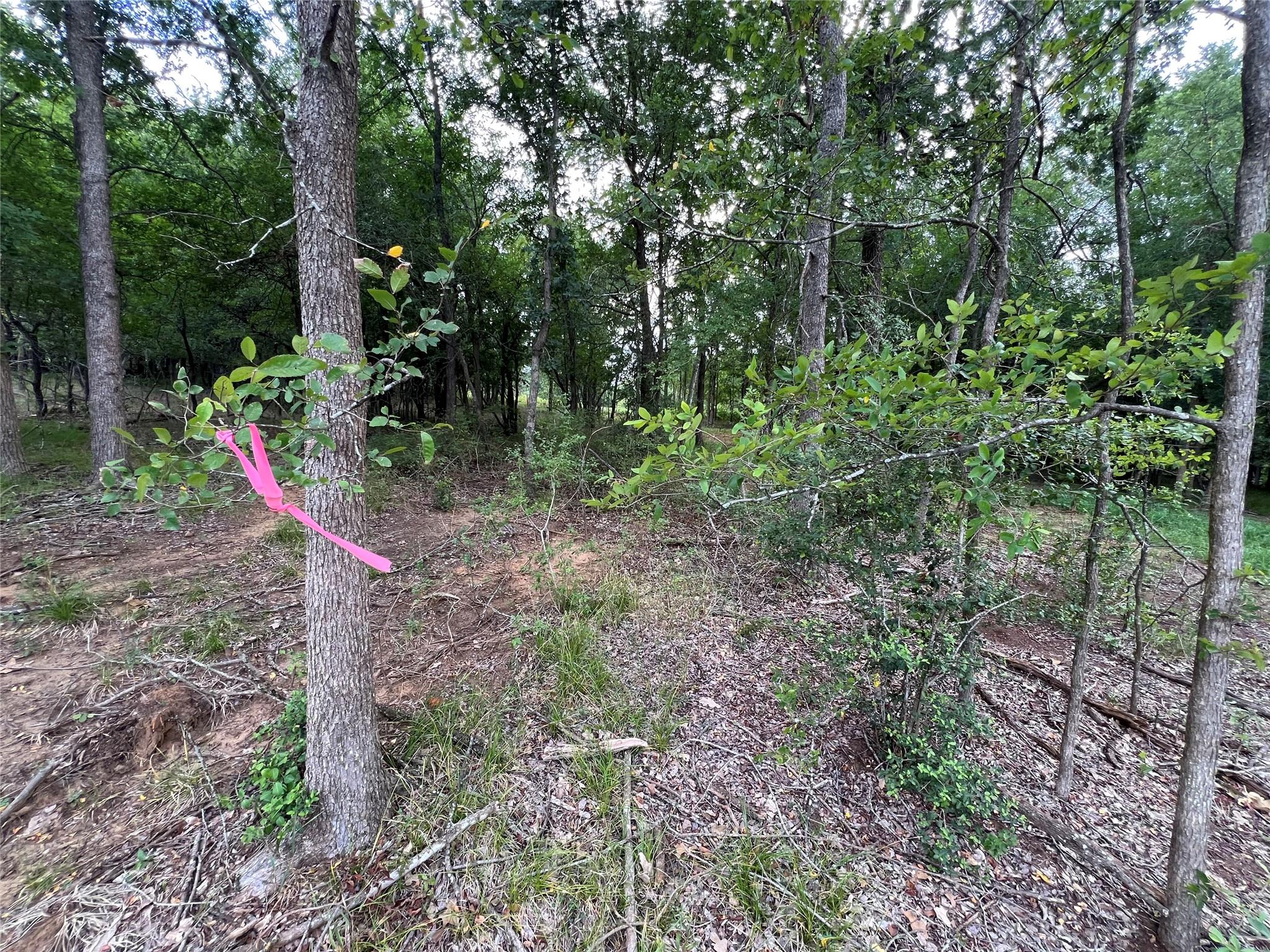 TBD FM 3000 Tract 1