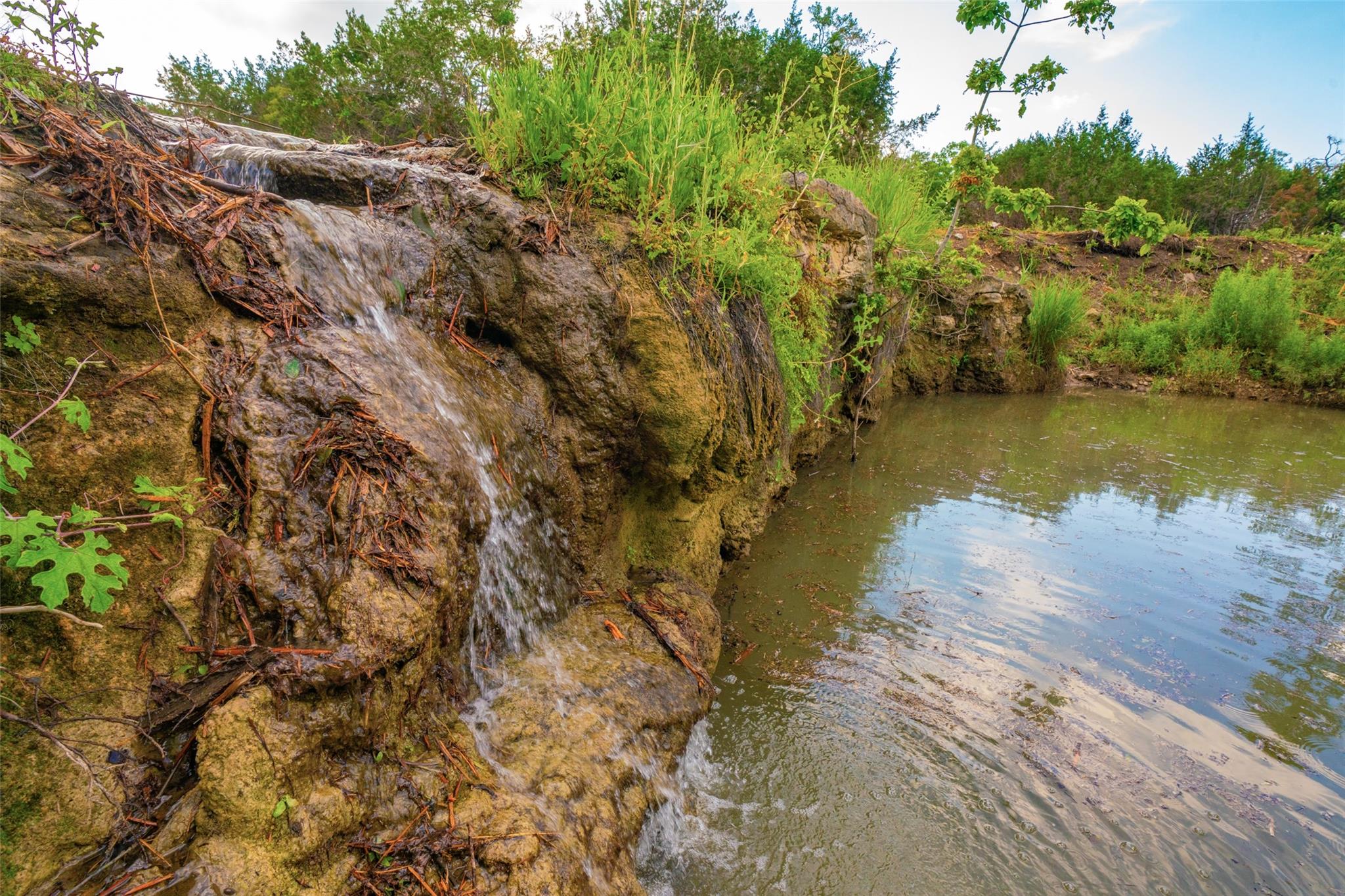 000 25 acres Grotto Springs Ranch