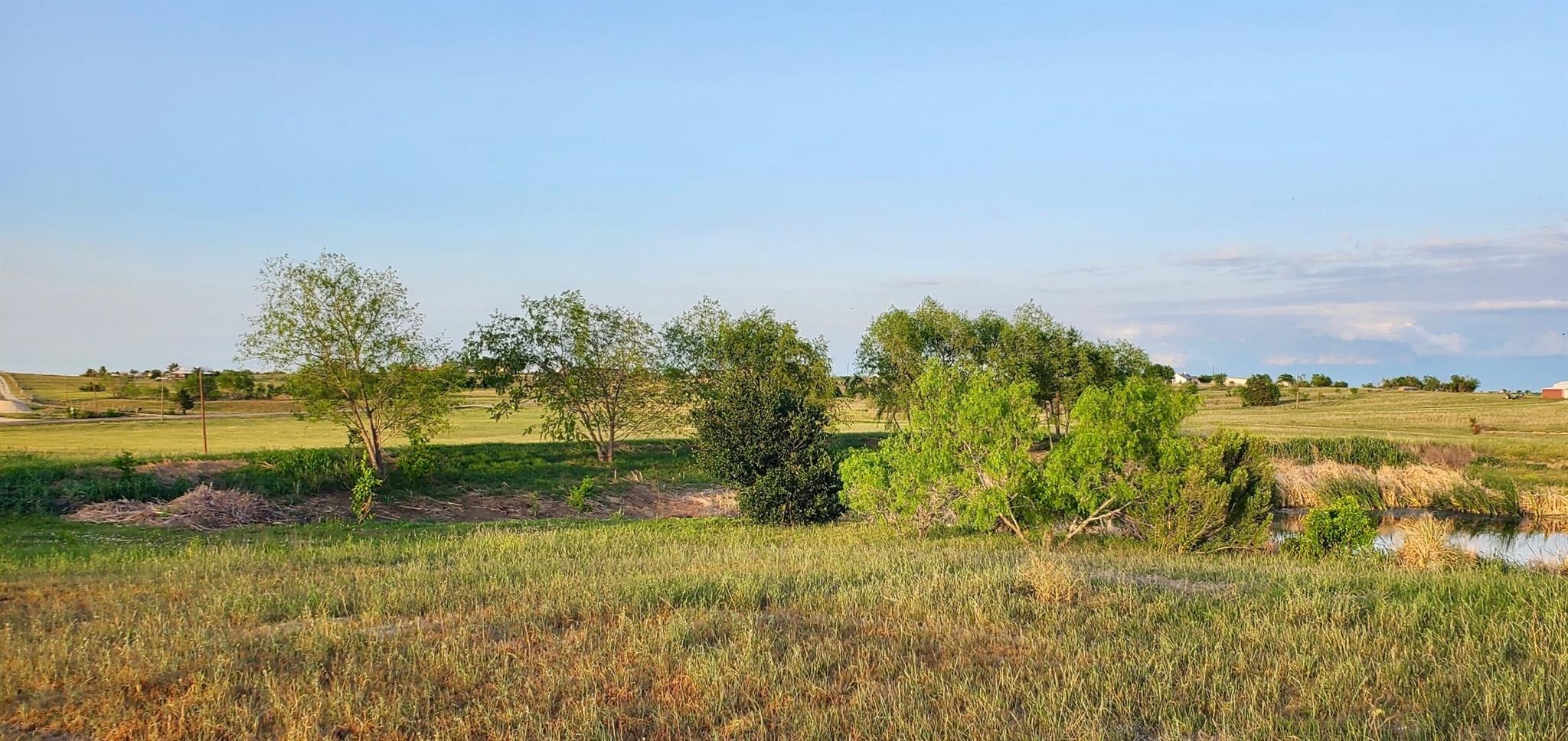 975 County Rd 458 (10 Acres)