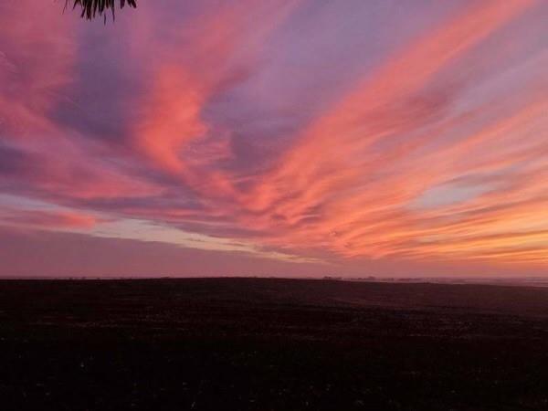 975 County Rd 458 (10 Acres)