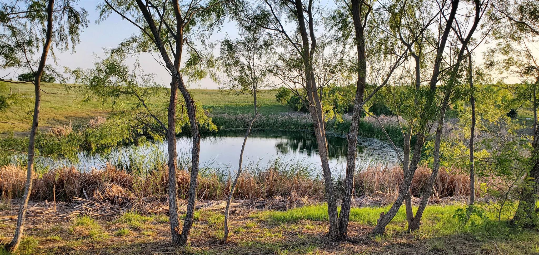 975 County Rd 458 (10 Acres)