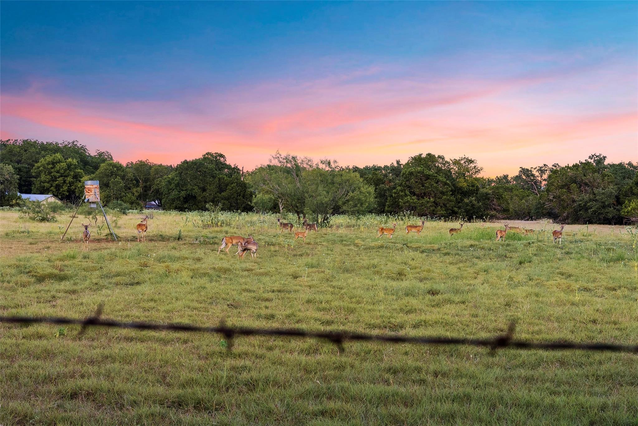 13100 Ranch Road 12