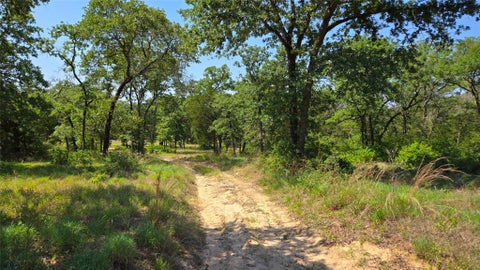 277 Meuth Cemetery RD Red Rock TX 78662