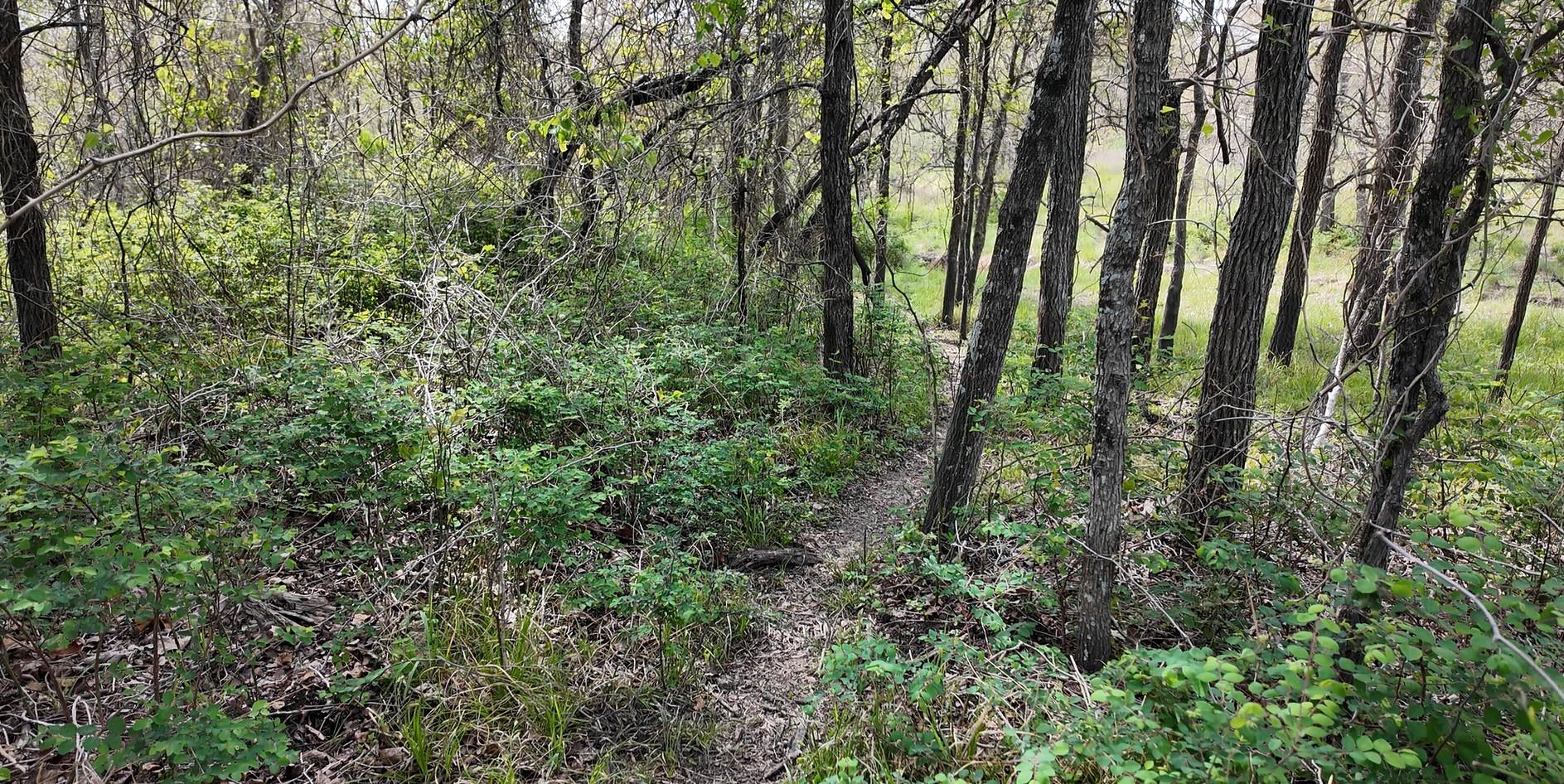 144 CR 219