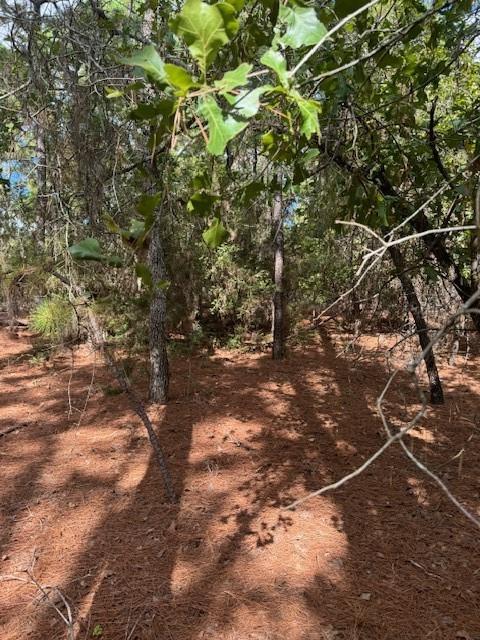 Photo 1 of 33 — 194 Molokini DR, Bastrop, TX 78602