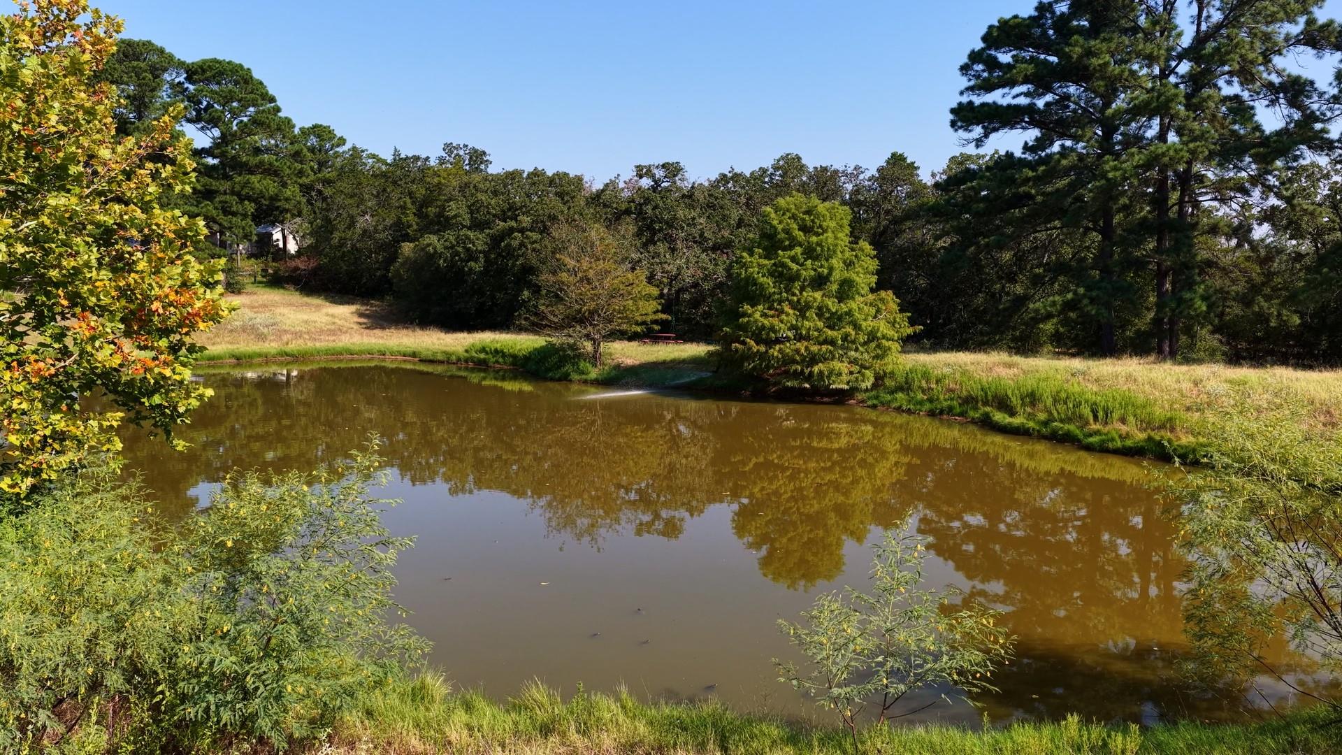 218 Little Ranch RD