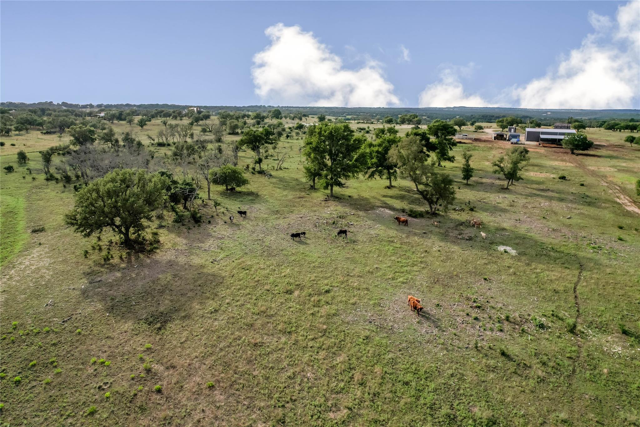 6684 County Road 1255