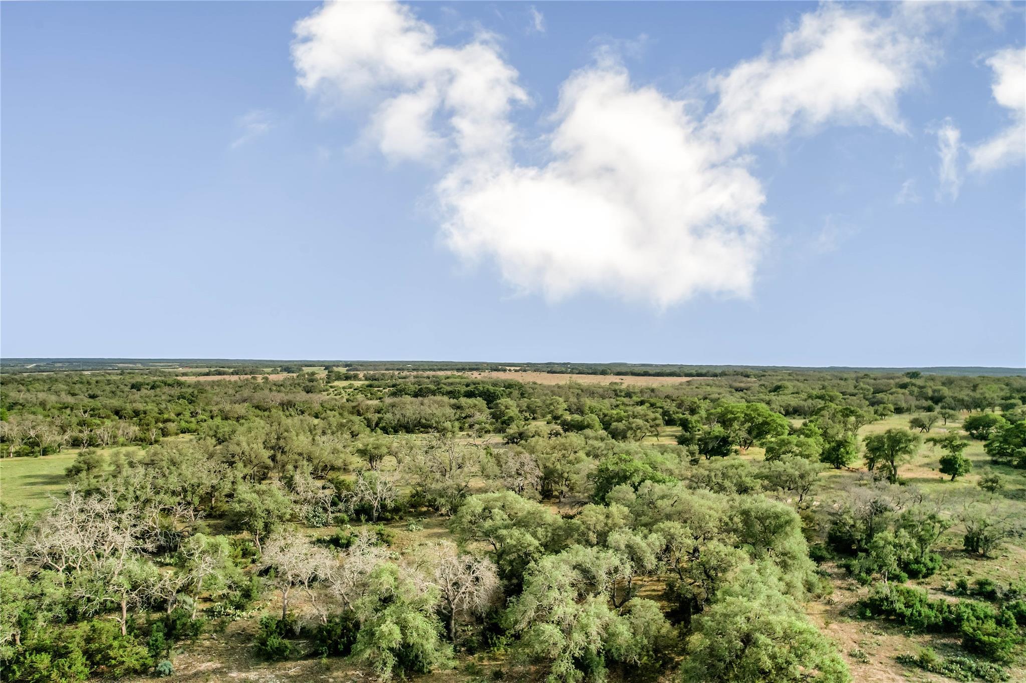 6684 County Road 1255