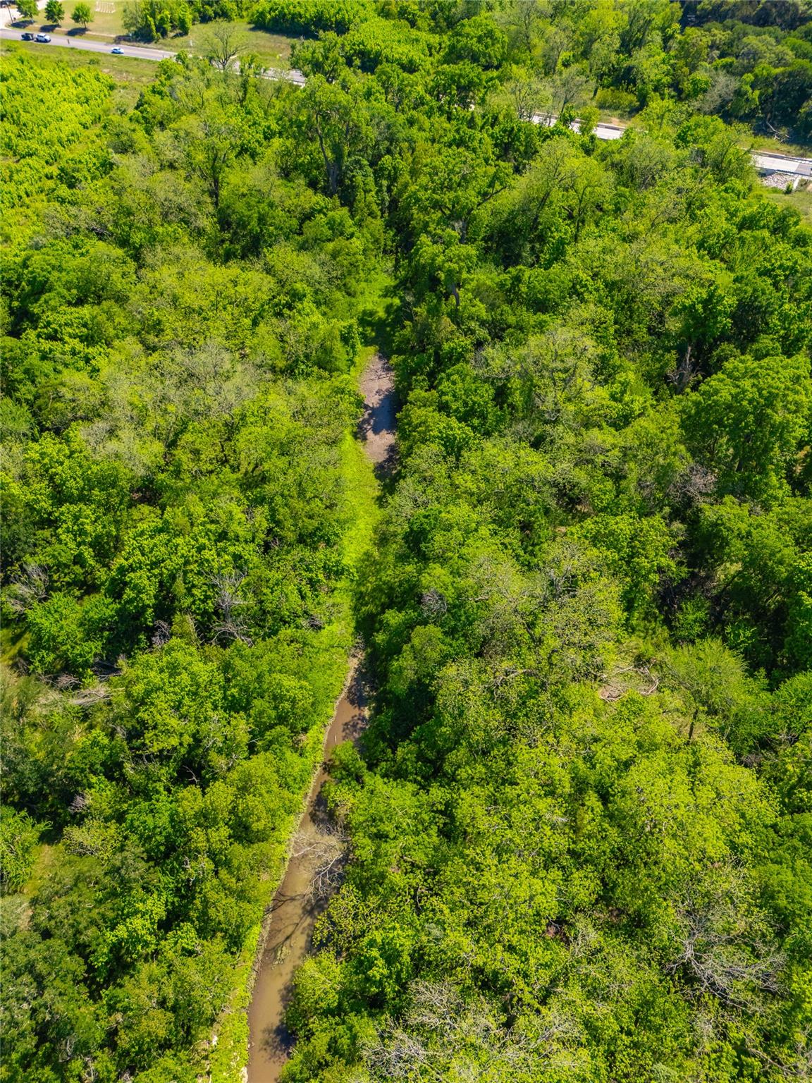 145 Spring RD