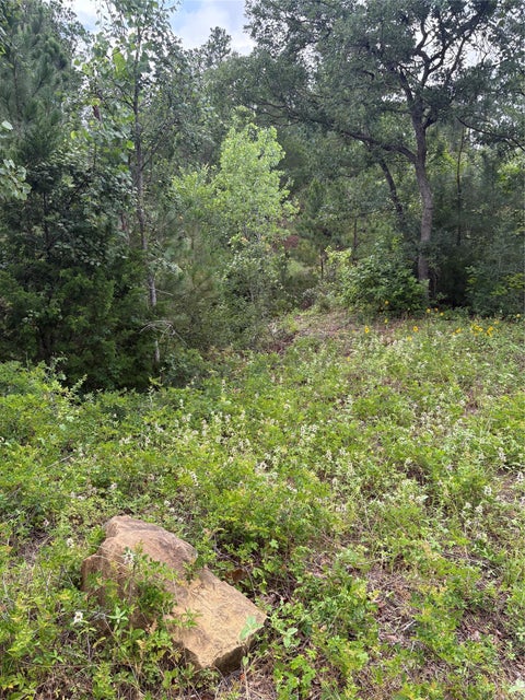 Photo of TBD Kaena LN, Bastrop, TX 78602 (MLS # 2752594)