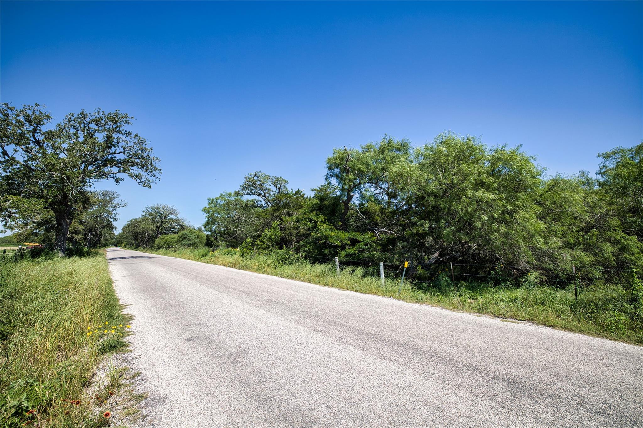 Lot 1C Shiloh DR