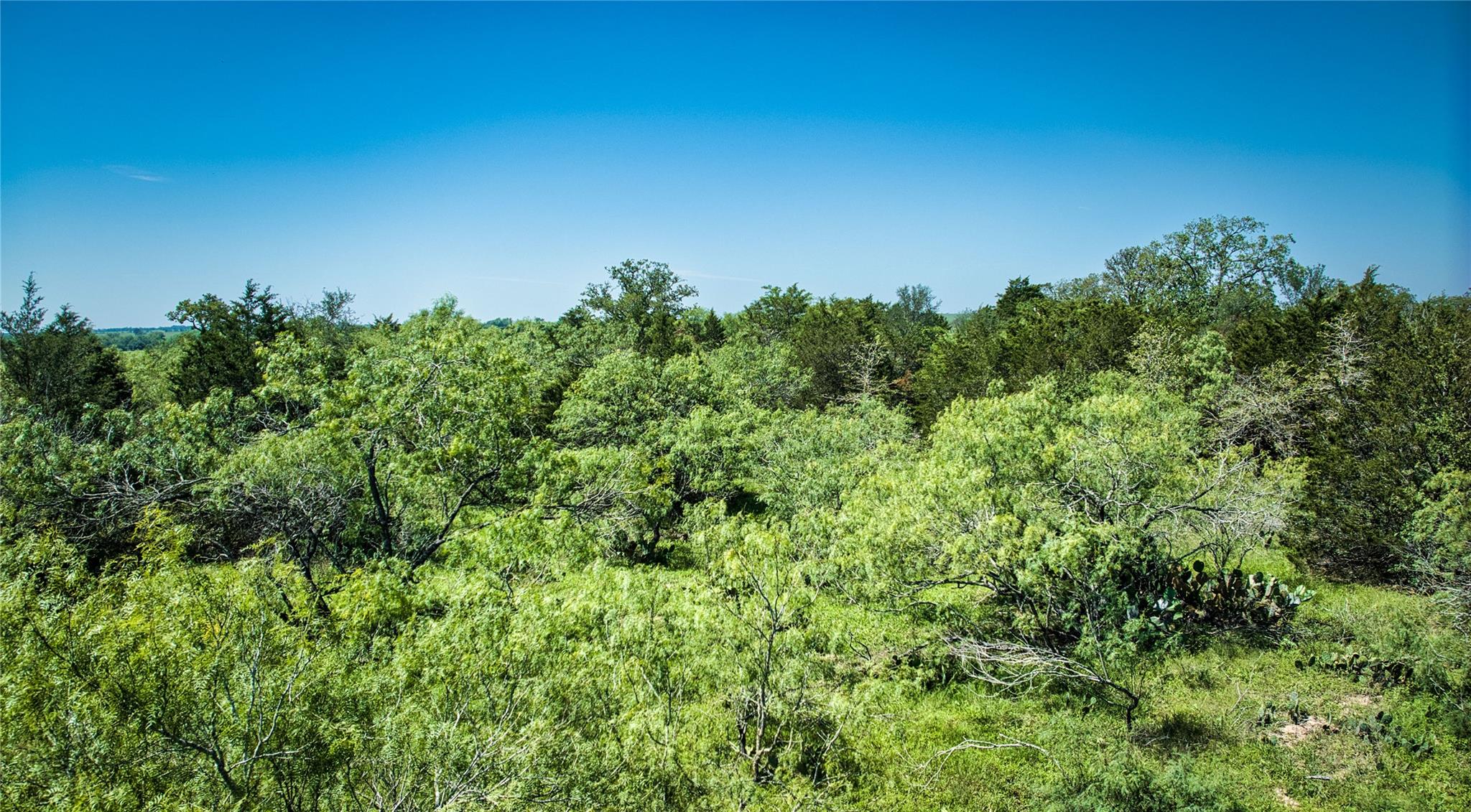 Lot 1C Shiloh DR